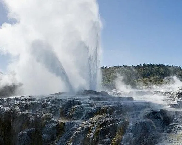 Rotorua Day Trip from Auckland with Options - Smaller groups 